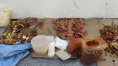 تحذيرات من بيع مواد غذائية وأدوية خطيرة في الأسواق