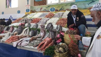 استهلاك السمك بالمغرب يفوق العالمي رغم تراجع الطلب بسبب الغلاء % استهلاك السمك بالمغرب يفوق العالمي رغم تراجع الطلب بسبب الغلاء