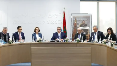 ودٌّ على السطح وصراع في العمق… كواليس خلافة أخنوش داخل الأحرار