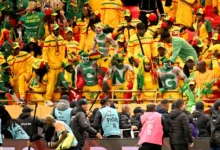 senegal can 2025 fans