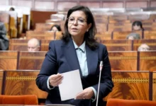 قطاع الصيد البحري… سفن تغرق وإدارة تُبحر بلا بوصلة