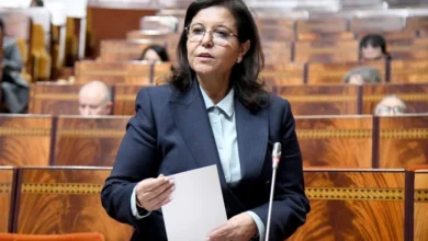 قطاع الصيد البحري… سفن تغرق وإدارة تُبحر بلا بوصلة