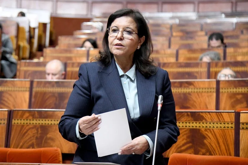 قطاع الصيد البحري… سفن تغرق وإدارة تُبحر بلا بوصلة % قطاع الصيد البحري… سفن تغرق وإدارة تُبحر بلا بوصلة