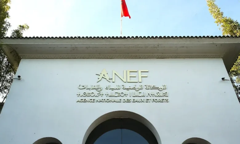 Eaux et Forêts : un rapport officiel révèle de graves dysfonctionnements % Eaux et Forêts : un rapport officiel révèle de graves dysfonctionnements