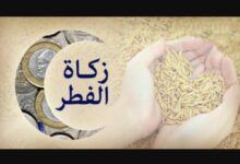 Screenshot 20260311 145459 com android chrome CustomTabActivity 1024x682 1