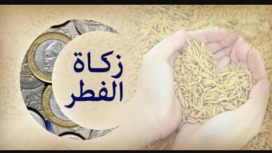 Screenshot 20260311 145459 com android chrome CustomTabActivity 1024x682 1