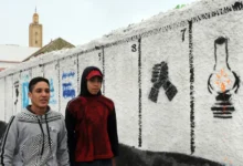 الشباب الحزبي بين الفراغ السياسي وتسويق الواجهة % الشباب الحزبي بين الفراغ السياسي وتسويق الواجهة