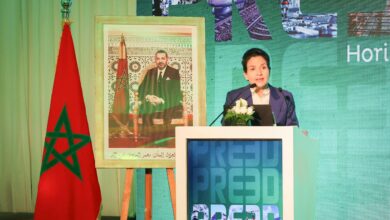 بنعلي: النجاعة الطاقية خيار استراتيجي لسيادة المغرب % بنعلي: النجاعة الطاقية خيار استراتيجي لسيادة المغرب