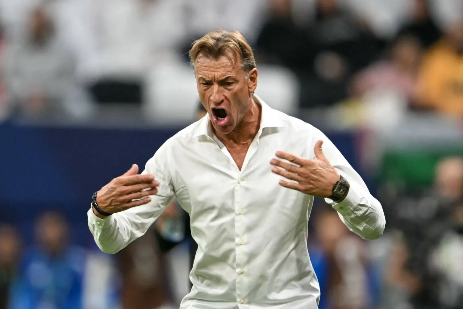 إعفاء هيرفي رونار من تدريب السعودية وترشيح وليد الركراكي لخلافته