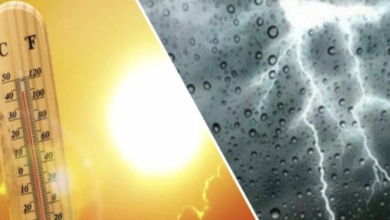 نشرة جوية : ارتفاع الحرارة جنوباً وأمطار رعدية نهاية الأسبوع