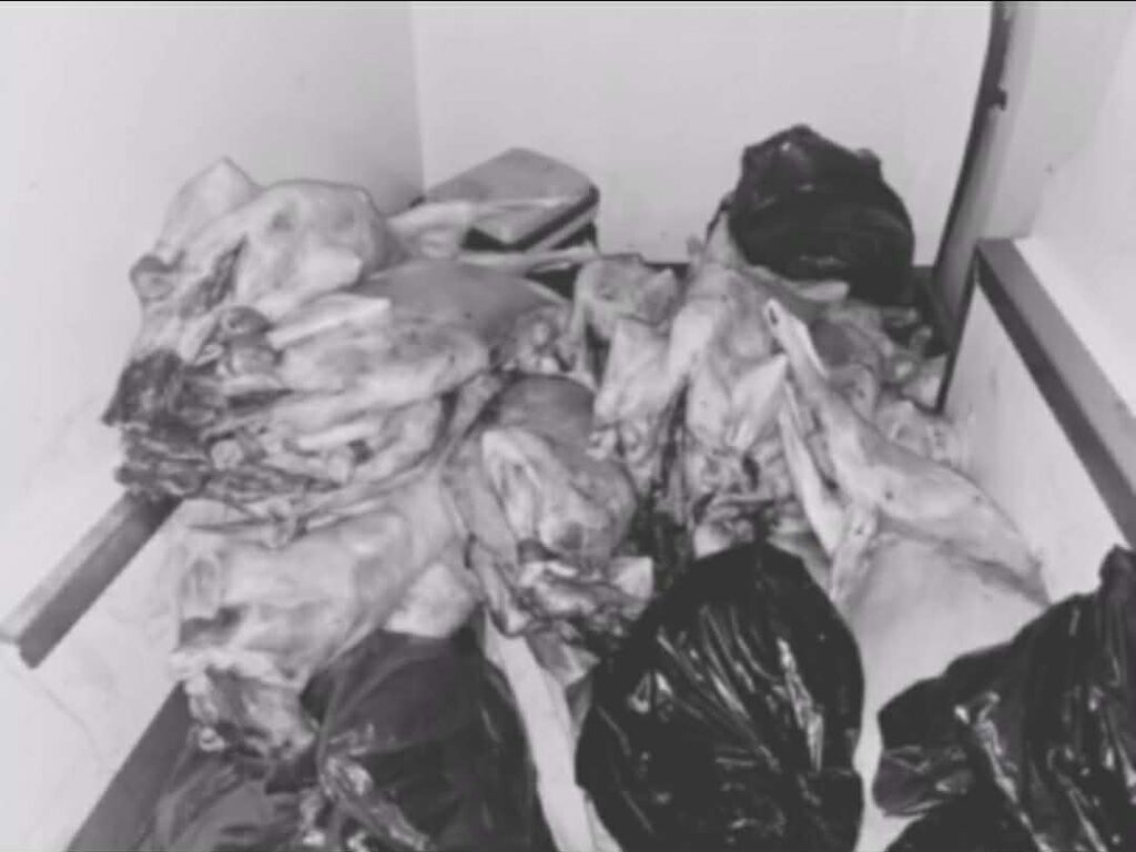 Messenger creation 0077EAC4 A025 4050 9B13 076888C0C78A