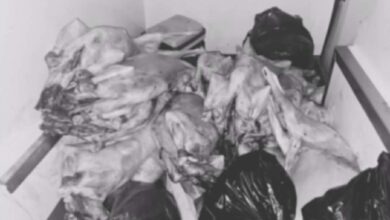 تفكيك شبكة ذبيحة سرية ببوقنادل وحجز كميات كبيرة من اللحوم % Messenger creation 0077EAC4 A025 4050 9B13 076888C0C78A