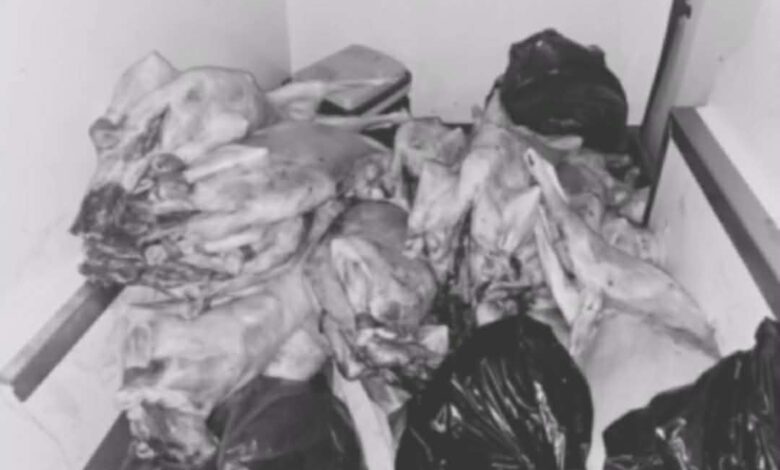 تفكيك شبكة ذبيحة سرية ببوقنادل وحجز كميات كبيرة من اللحوم % Messenger creation 0077EAC4 A025 4050 9B13 076888C0C78A