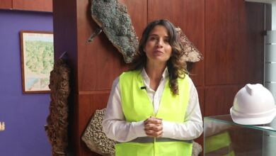 ليلى بنعلي تعلن إطلاق السجل المعدني الرقمي بالمغرب من “جيتكس إفريقيا 2026” % ليلى بنعلي تعلن إطلاق السجل المعدني الرقمي بالمغرب من “جيتكس إفريقيا 2026”