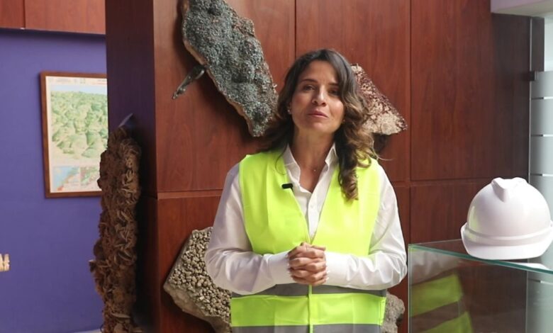 ليلى بنعلي تعلن إطلاق السجل المعدني الرقمي بالمغرب من “جيتكس إفريقيا 2026” % ليلى بنعلي تعلن إطلاق السجل المعدني الرقمي بالمغرب من “جيتكس إفريقيا 2026”