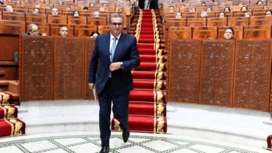 أرقام صادمة تكشف مسؤولية حكومة أخنوش في فوضى الأسعار بالمغرب