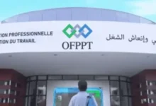 image 870x 690f689e78075 750x375 1