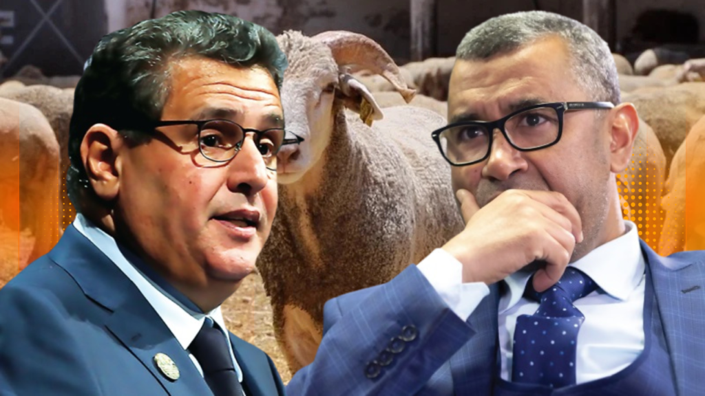 من هو البرلماني الفراقشي الذي يتستر عليه أخنوش استفاد من الملايين في دعم الأضاحي