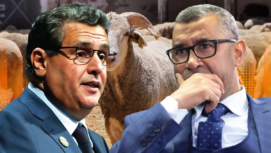 من هو البرلماني الفراقشي الذي يتستر عليه أخنوش استفاد من الملايين في دعم الأضاحي