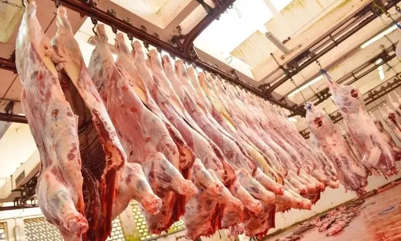 لحوم الأبقار تشتعل في المغرب… زيادات مرتقبة تضغط على جيوب المواطنين
