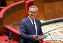 كريم زيدان يعيّن دلال مينيي مديرة عامة ويشعل جدل المحسوبية