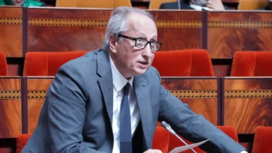 تصريح “النمذجة” يورط برادة ويشعل السخرية داخل مواقع التواصل