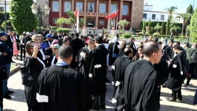 المحامون يصعّدون ضد وهبي ويهددون باستقالات جماعية