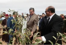 أخنوش ومخطط المغرب الأخضر.. نجاح في الخطاب وفشل في السوق