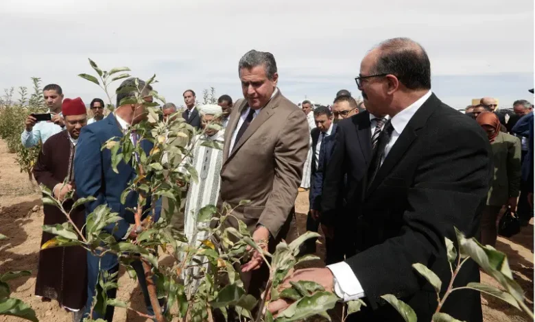أخنوش ومخطط المغرب الأخضر.. نجاح في الخطاب وفشل في السوق