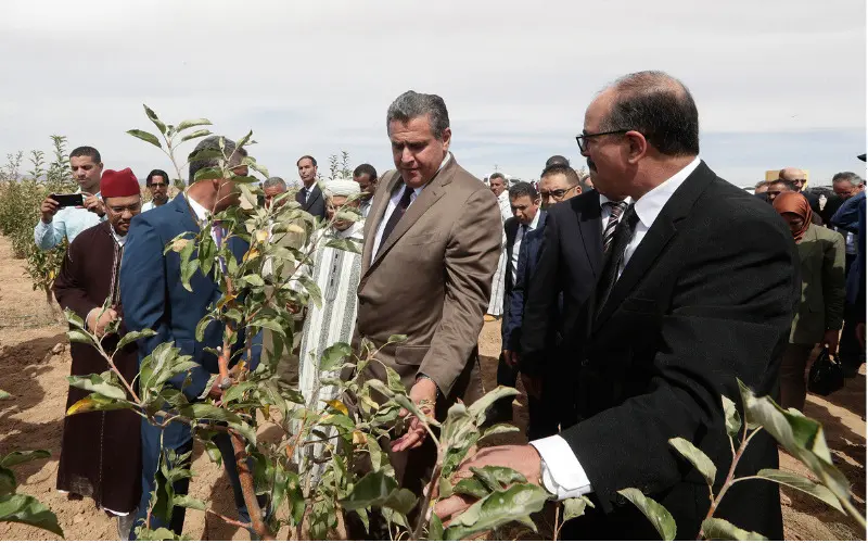 أخنوش ومخطط المغرب الأخضر.. نجاح في الخطاب وفشل في السوق