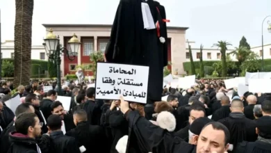 غضب وسط المحامين بعد المصادقة على مشروع قانون المهنة