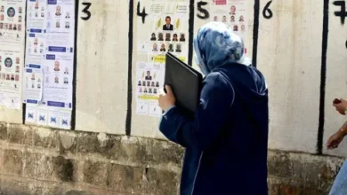 الفن والسياسة… حين تختلط الرسالة بالولاء داخل الأحزاب