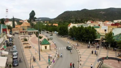 حكم غيابي يهدد أملاك مهاجر مغربي بهولندا ويثير الجدل