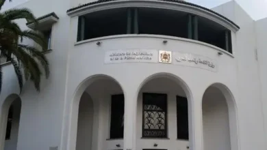 أسعار الأضاحي تشتعل والأسواق تكشف ارتباك وزارة الفلاحة