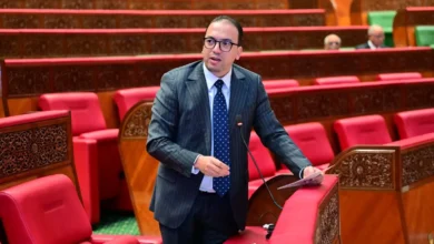 انتقادات تلاحق حصيلة السعدي.. وأصوات من الميدان تطالب بالأرقام