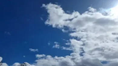 طقس المغرب.. أجواء حارة بعدد من المناطق وضباب صباحي بالسواحل % طقس المغرب.. أجواء حارة بعدد من المناطق وضباب صباحي بالسواحل