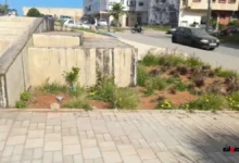 سلا.. تراجع العناية بالمساحات الخضراء يثير غضب السكان % سلا.. تراجع العناية بالمساحات الخضراء يثير غضب السكان