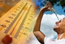 طقس الأربعاء بالمغرب.. حرارة قوية وضباب ورياح بعدة مناطق